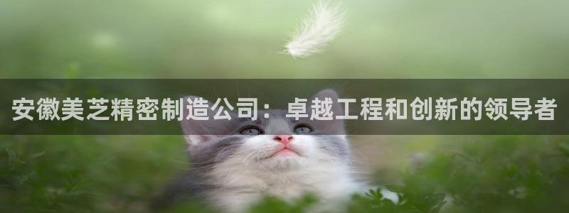 大发彩神最高邀请码：安徽美芝精密制造公司：卓越工程和创新的领导者