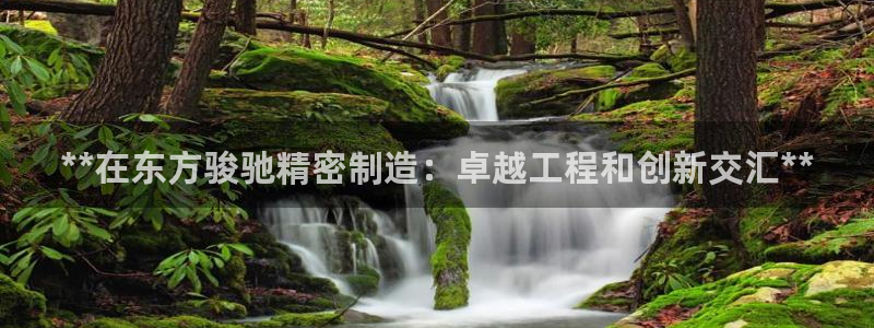 彩神vip官方网站