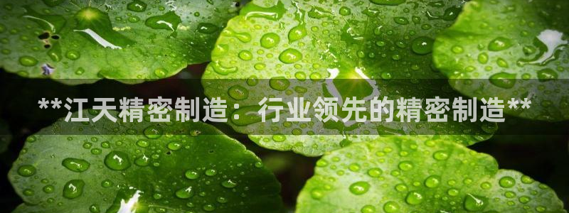 下载彩神通关注码：**江天精密制造：行业领先的精密制造**