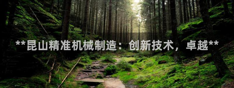 彩神平台是什么套路：**昆山精准机械制造：创新技术，卓越**