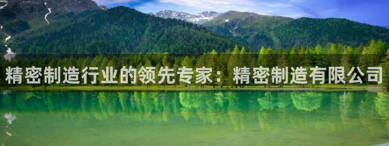 彩神8官网版：精密制造行业的领先专家：精密制造有限公司