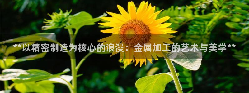 彩神v集团有限公司：**以精密制造为核心的浪漫：金属加工的艺术与美学**