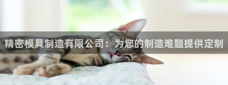 彩神v争霸有限公司：精密模具制造有限公司：为您的制造难题提供定制