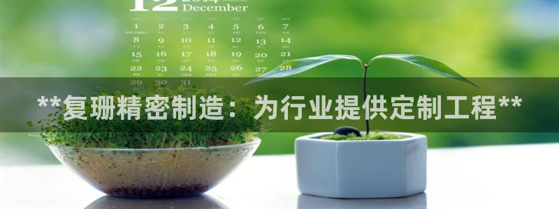 彩神趣购彩用户注册：**复珊精密制造：为行业提供定制工程**
