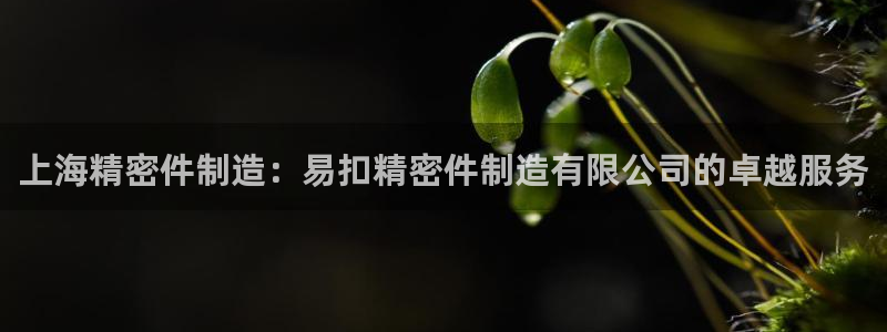 彩神vllⅰ购彩大厅：上海精密件制造：易扣精密件制造有限公司的卓越服务