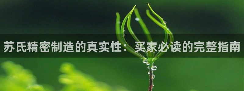 彩神VI首页