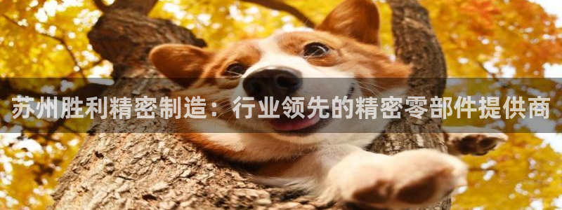彩神通官方网：苏州胜利精密制造：行业领先的精密零部件提供商