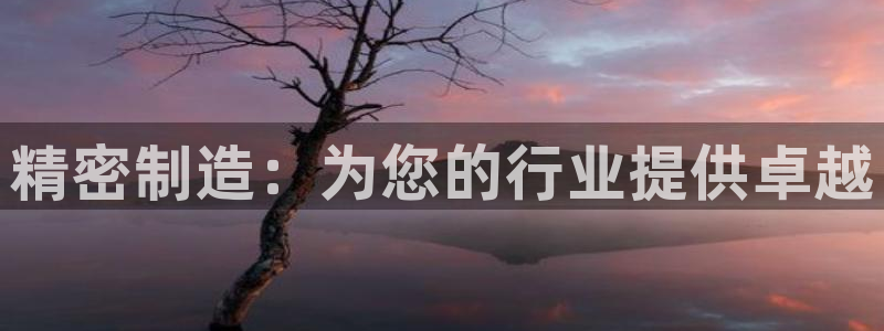 彩神vlll(中国)百度百科：精密制造：为您的行业提供卓越