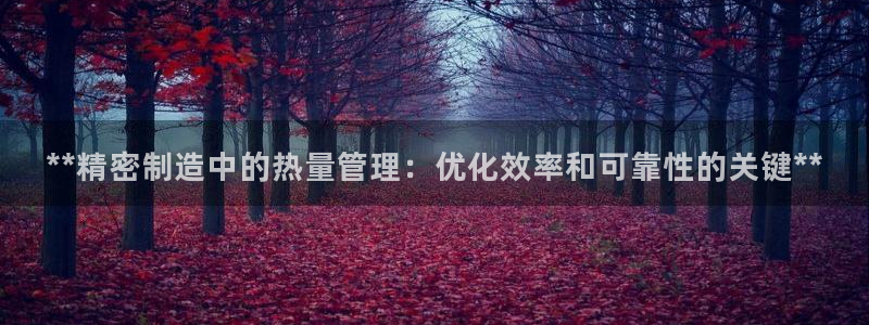 彩神8是正规平台吗：**精密制造中的热量管理：优化效率和可靠性的关键**