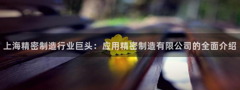 彩神新微聊：上海精密制造行业巨头：应用精密制造有限公司的全面介绍