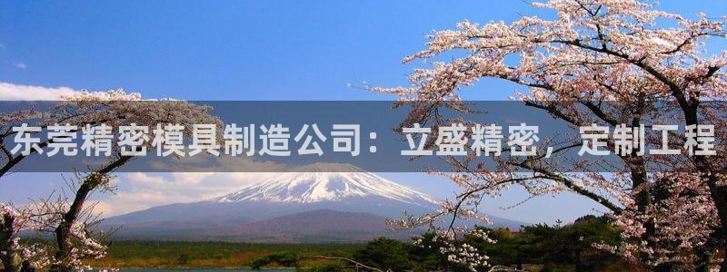 彩神网官网登录：东莞精密模具制造公司：立盛精密，定制工程