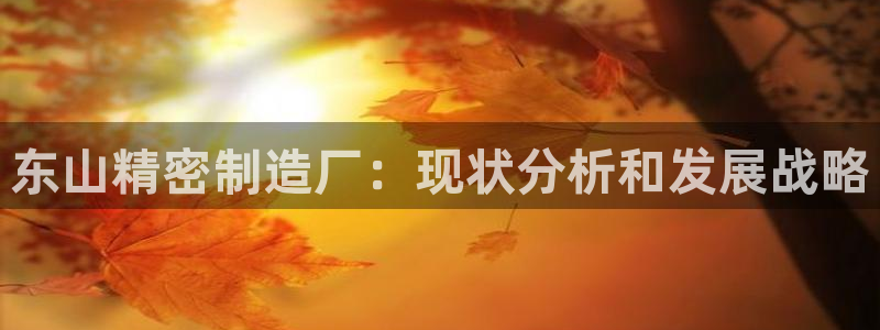彩神v8下载app5.0：东山精密制造厂：现状分析和发展战略