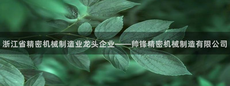 下载彩神通关注金码
