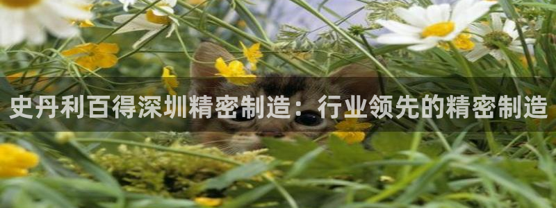 彩神ll能赚钱吗：史丹利百得深圳精密制造：行业领先的精密制造