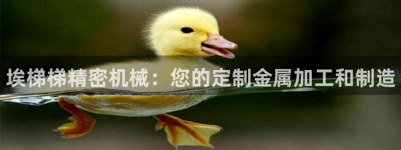 彩神用户登录：埃梯梯精密机械：您的定制金属加工和制造