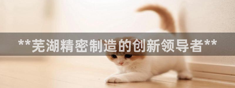 彩神8彩平台客服：**芜湖精密制造的创新领导者**