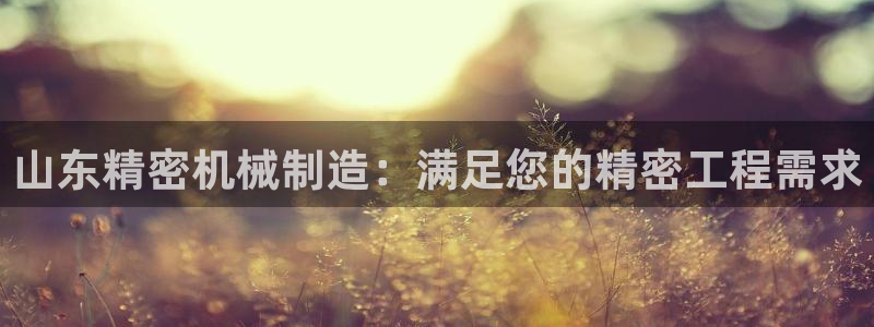 彩神VI首页：山东精密机械制造：满足您的精密工程需求