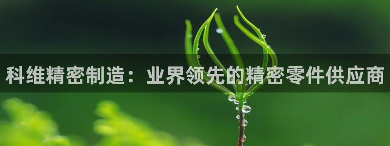 下载彩神通关注金码：科维精密制造：业界领先的精密零件供应商