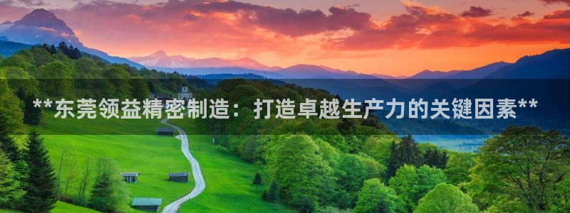 彩神vll购彩大厅：**东莞领益精密制造：打造卓越生产力的关键因素**