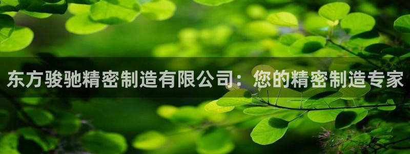 彩神V3大赢家