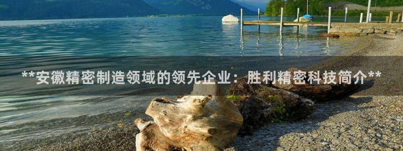 彩神旗下有哪些平台可以看：**安徽精密制造领域的领先企业：胜利精密科技简介**