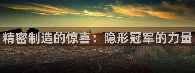 彩神viii官网：精密制造的惊喜：隐形冠军的力量