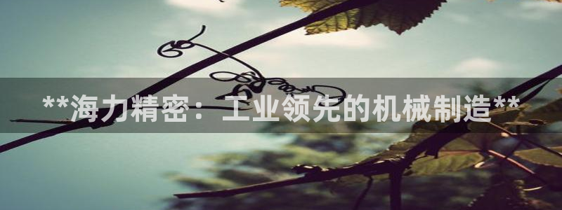 彩神ix是真的吗：**海力精密：工业领先的机械制造**