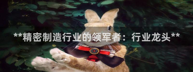 彩神v下载安装：**精密制造行业的领军者：行业龙头**