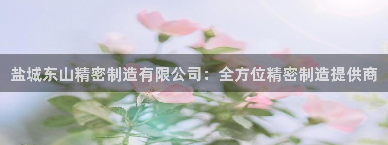 彩神大发官网：盐城东山精密制造有限公司：全方位精密制造提供商