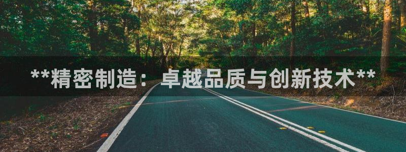 彩神VI首页：**精密制造：卓越品质与创新技术**