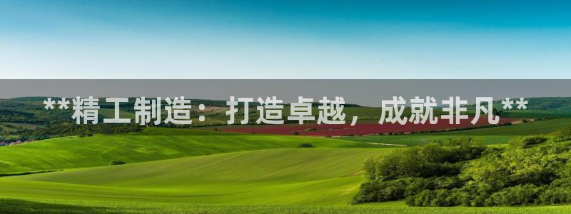 彩神ii官方网：**精工制造：打造卓越，成就非凡**