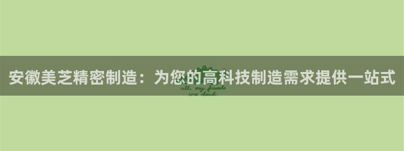 彩神平台之间是什么关系：安徽美芝精密制造：为您的高科技制造需求提供一站式