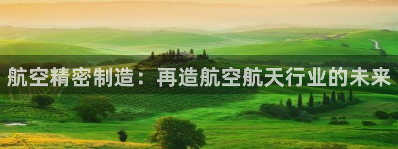在彩神网输了六万多怎么拿回来：航空精密制造：再造航空航天行业的未来