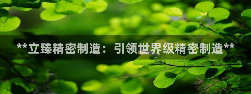 彩神盈利图片：**立臻精密制造：引领世界级精密制造**