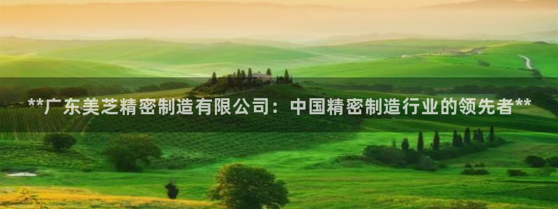 彩神V8有限公司：**广东美芝精密制造有限公司：中国精密制造行业的领先者**