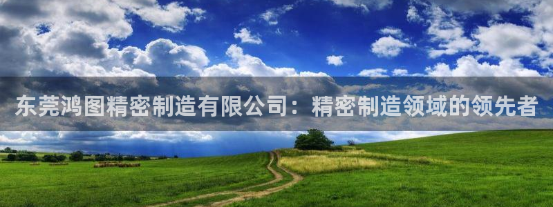 彩神争霸官方下载2017：东莞鸿图精密制造有限公司：精密制造领域的领先者