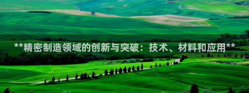 彩神广告有限公司：**精密制造领域的创新与突破：技术、材料和应用**