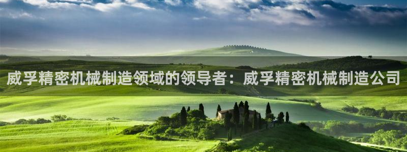 彩神vll首页企业文化：威孚精密机械制造领域的领导者：威孚精密机械制造公司