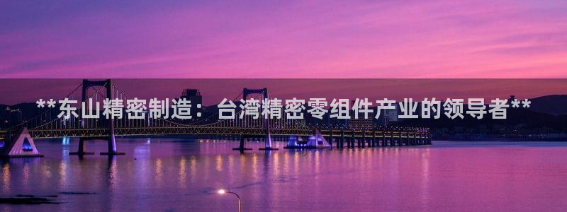 有谁知道彩神争霸的网址：**东山精密制造：台湾精密零组件产业的领导者**