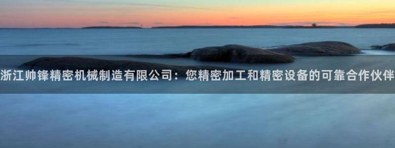 彩神8官网下：浙江帅锋精密机械制造有限公司：您精密加工和精密设备的可靠合作伙伴