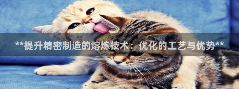 彩神v下载安装：**提升精密制造的熔炼技术：优化的工艺与优势**