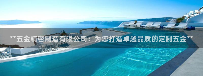 彩神iv争霸购彩大厅：**五金精密制造有限公司：为您打造卓越品质的定制五金**