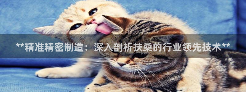 彩神vll购彩大厅大众：**精准精密制造：深入剖析扶桑的行业领先技术**