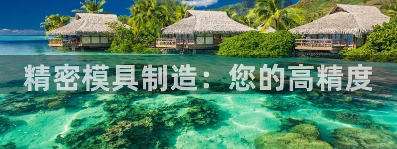 彩神v彩搜狗：精密模具制造：您的高精度