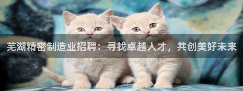彩神V官网：芜湖精密制造业招聘：寻找卓越人才，共创美好未来