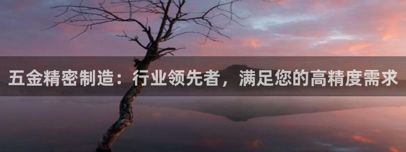 彩神邀请码:00-00-3267：五金精密制造：行业领先者，满足您的高精度需求