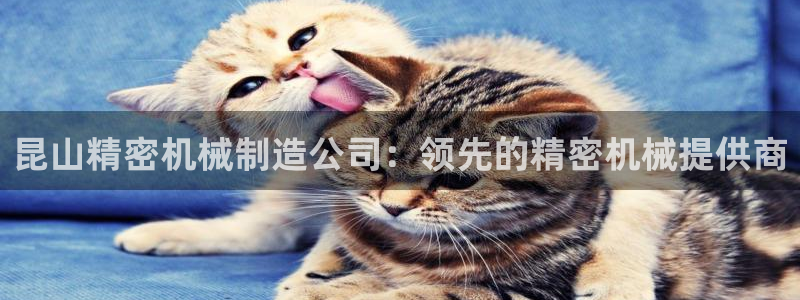 彩神V集团公司：昆山精密机械制造公司：领先的精密机械提供商