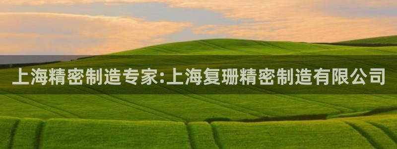 v彩神88iii：上海精密制造专家:上海复珊精密制造有限公司
