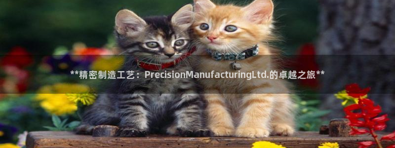 彩神ix平台：**精密制造工艺：PrecisionManufacturingLtd.的卓越之旅**