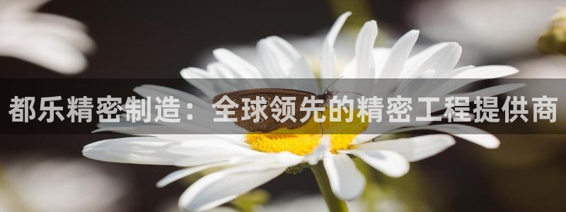 彩神争霸官网登录平台：都乐精密制造：全球领先的精密工程提供商